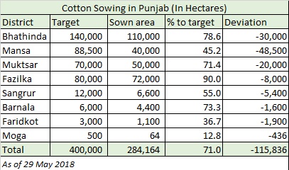 Cotton Sowing in Punjab